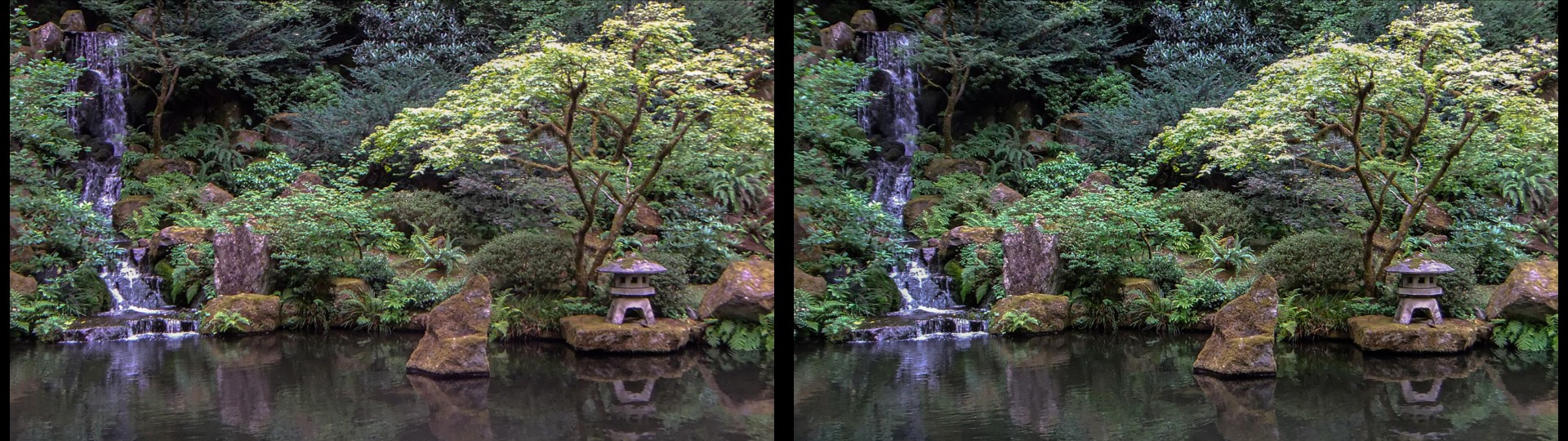 Calming Pond